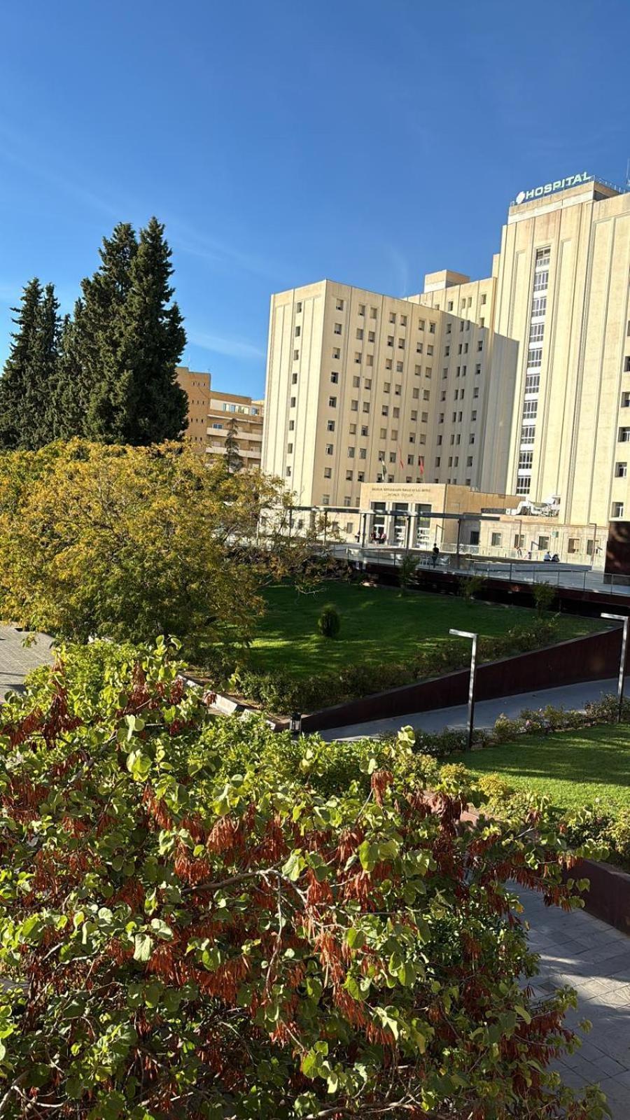 格拉纳达Plaza De La Caleta 2公寓 外观 照片